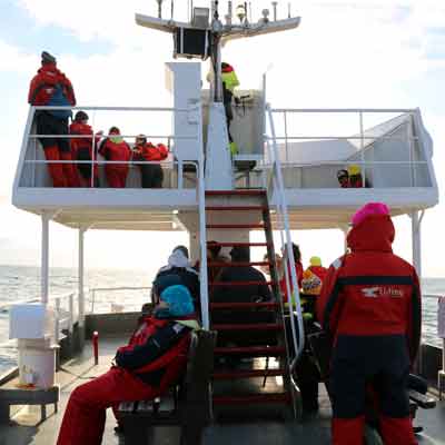 Whalewatching mit dem Ausflugsboot